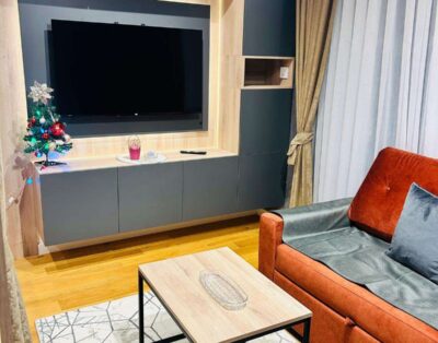 Apartman Dunja Zlatibor