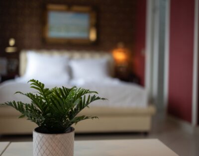 Diva Lux Apartments Novi Sad Apartman C